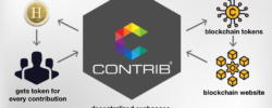 contrib.com's contribution economy